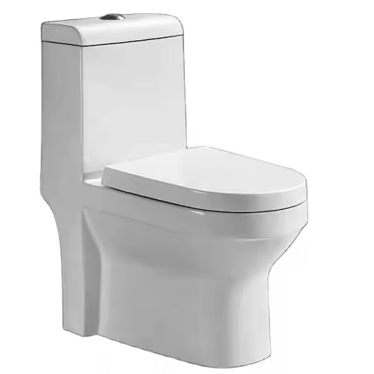 GD2135 One-Piece Washdown Toilet with S-trap and P-trap Options - Tazeet.com