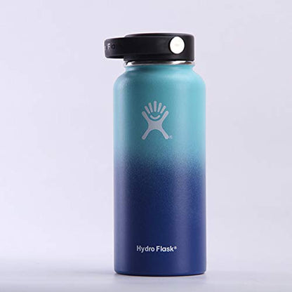 Hydro Flask Goji - Premium Insulated Stainless Steel Water Bottle with TempShield Technology & Leakproof Flex Cap