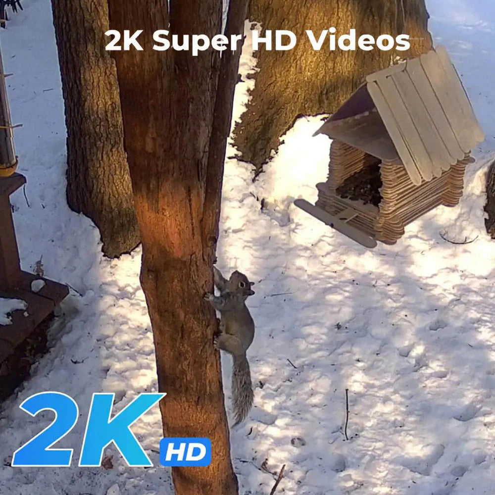 Solar PTZ Wireless Camera RBX-SL100 | 2MP, 355° PTZ, Motion Detection, IP65 Weatherproof - Tazeet.com
