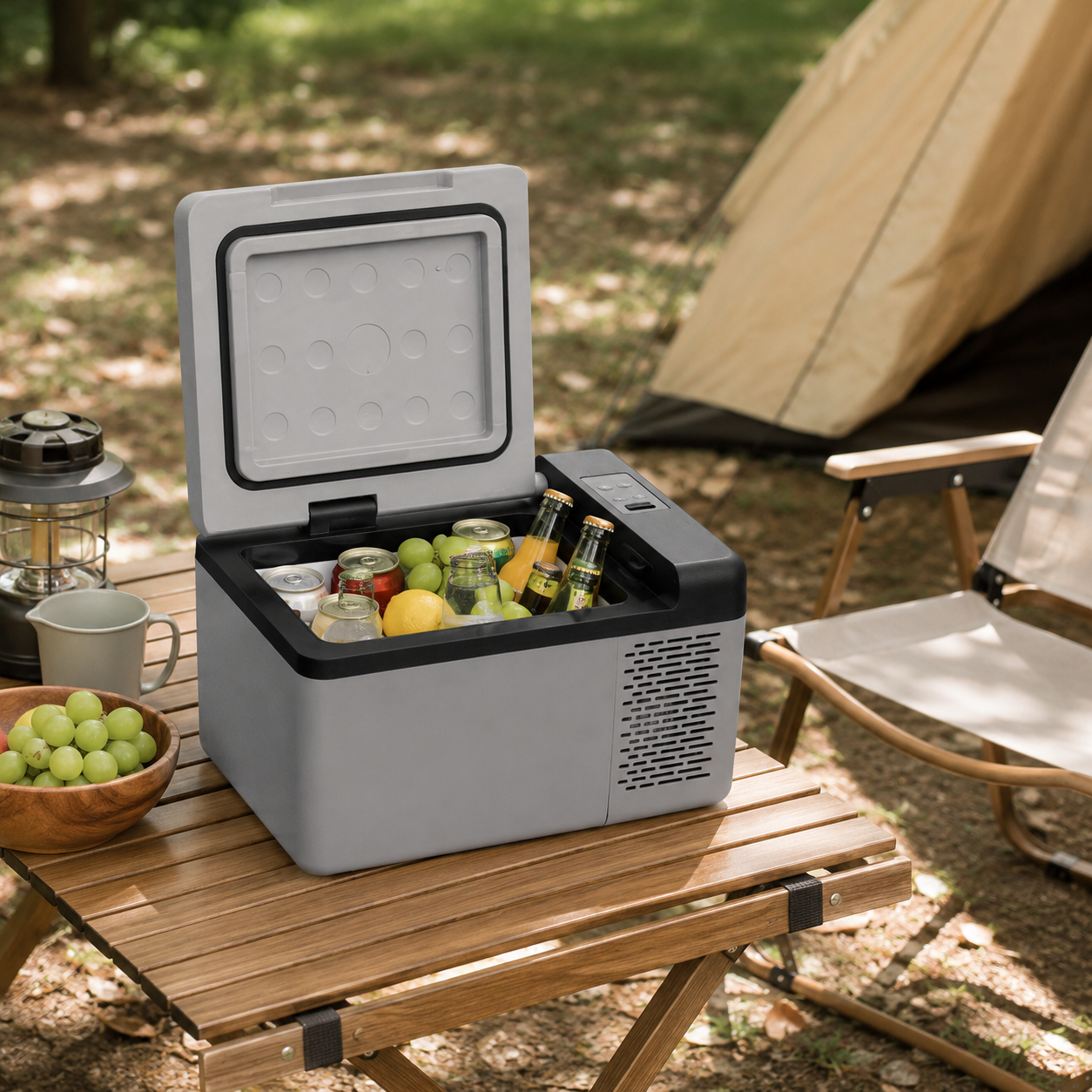 C9 9L Portable Mini Compressor Fridge Freezer | 45W