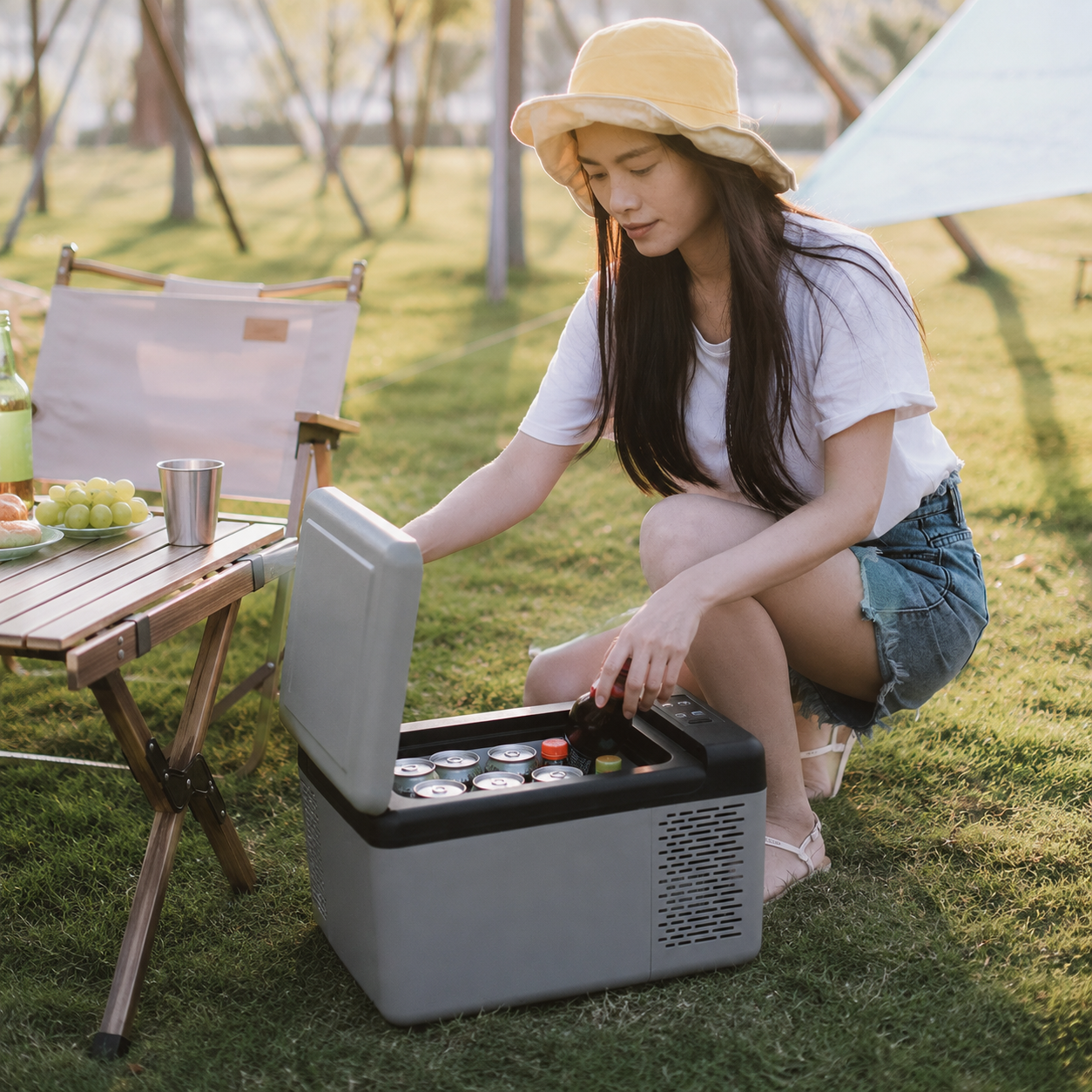 C9 9L Portable Mini Compressor Fridge Freezer | 45W
